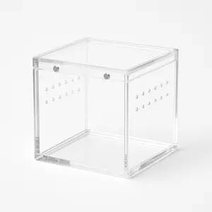 ArachNest Small — 10x10x10cm jumping spider enclosure