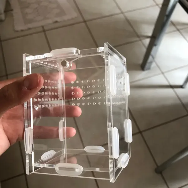 Verified buyer photo of the ArachNest acrylic enclosure, assembled and clear